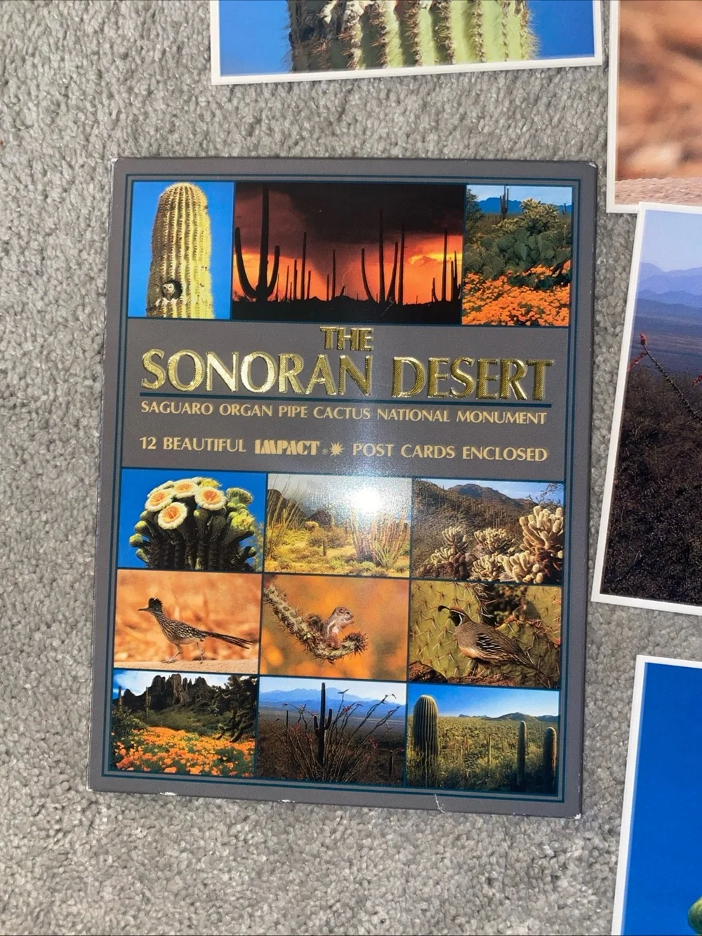 The Sonoran‎ Desert National Monument 12 Postcards Vintage